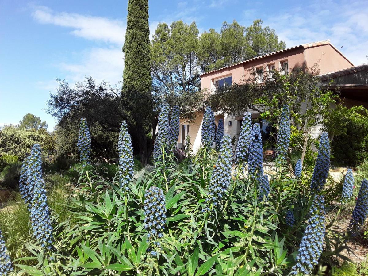 L'Atelier Bed & Breakfast Saint-Maximin  Exterior photo
